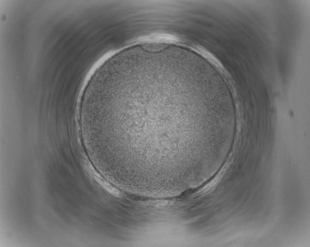 X0000080731248200612151216