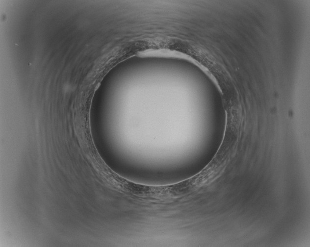 X0000080731249200612151215