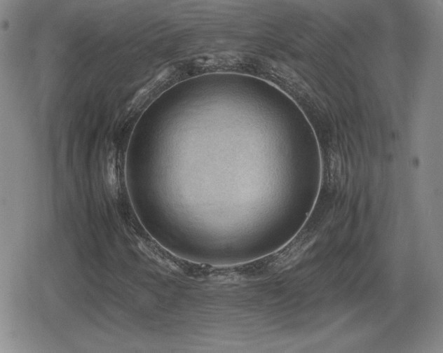 X0000080731250200612151215