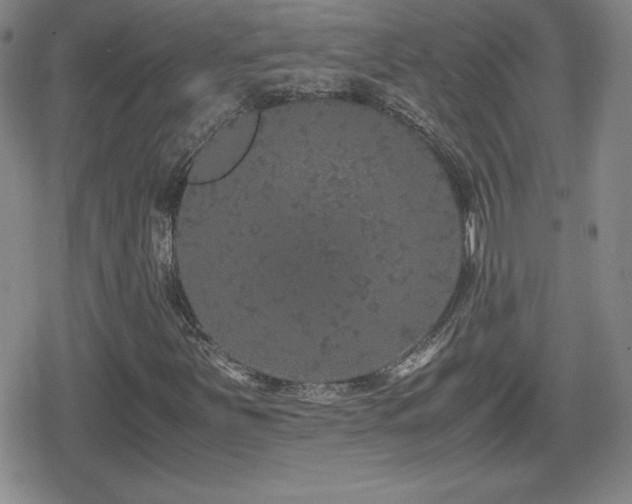 X0000080731251200612151215