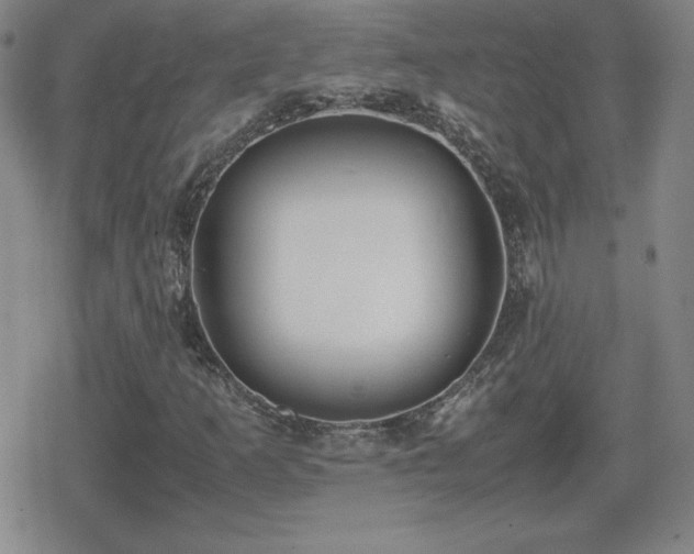 X0000080731253200612151215