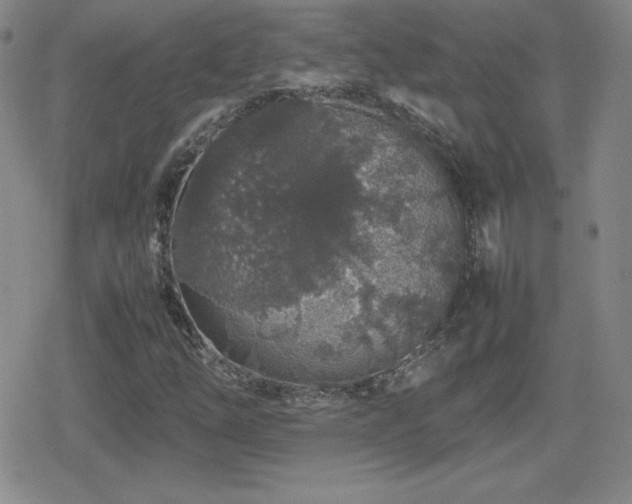 X0000080731254200612151215