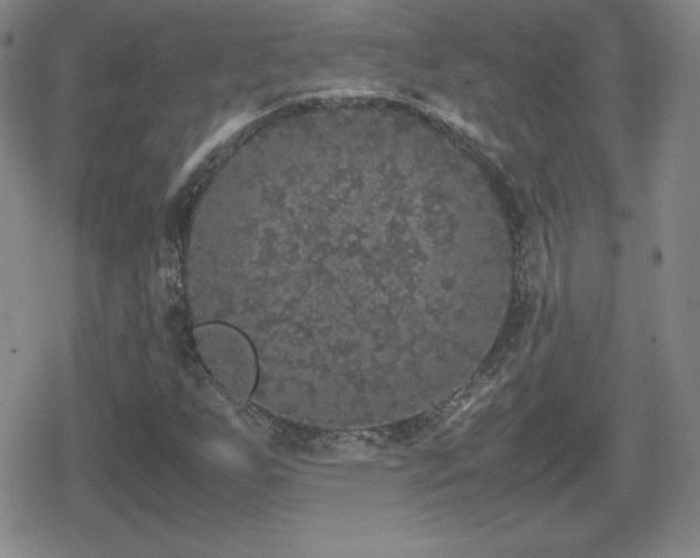 X0000080731255200612151215