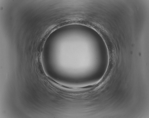 X0000080731257200612151215