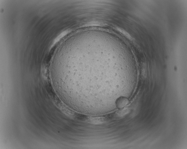 X0000080731258200612151215