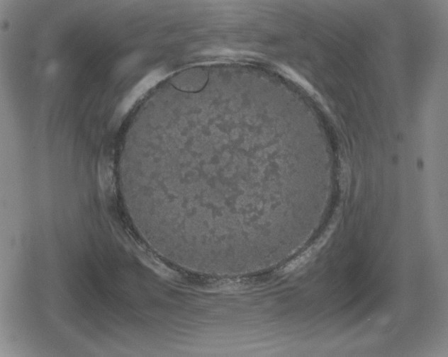 X0000080731259200612151215