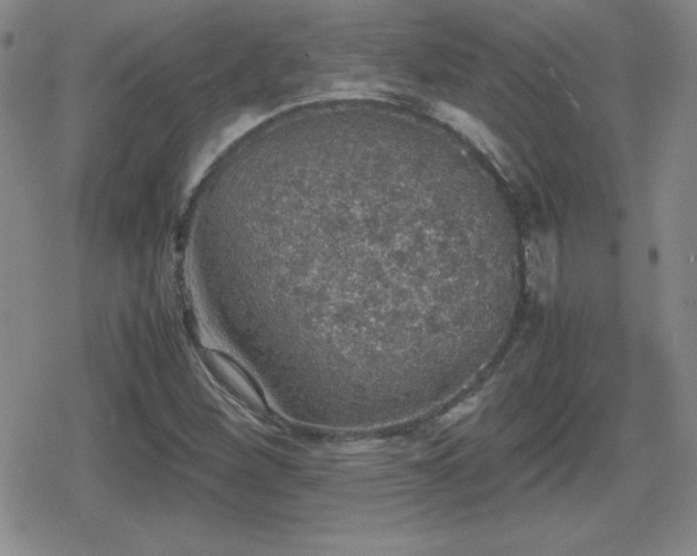 X0000080731260200612151215