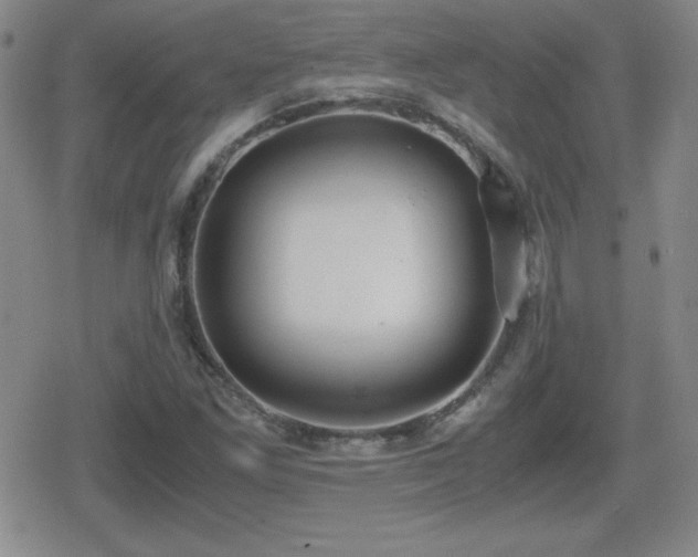 X0000080731261200612151215