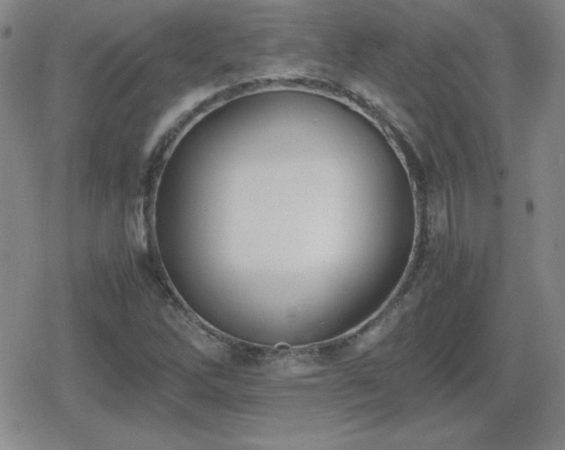 X0000080731262200612151215