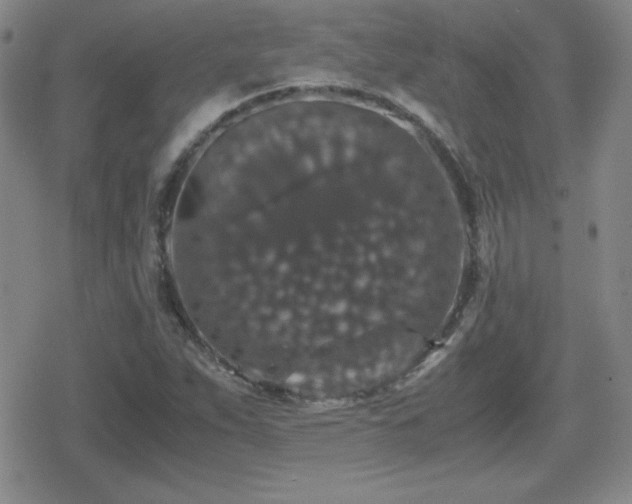 X0000080731263200612151215