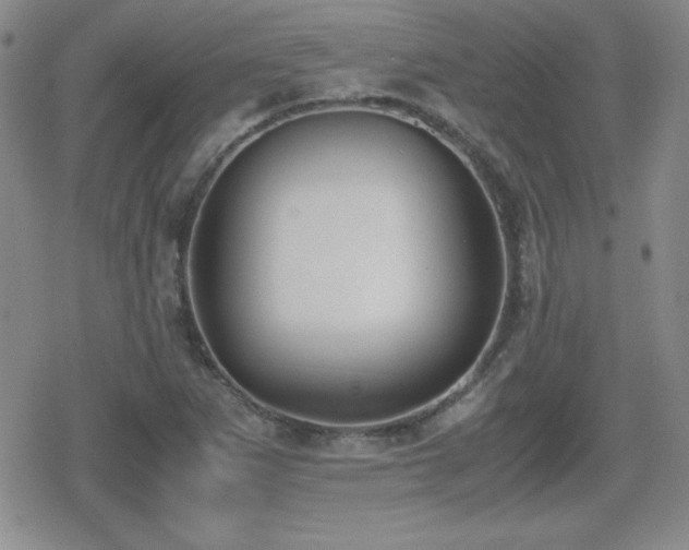 X0000080731265200612151215