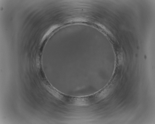 X0000080731266200612151215