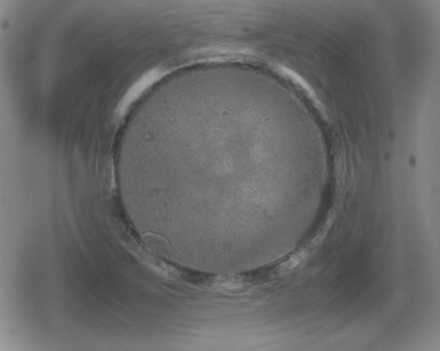 X0000080731267200612151215