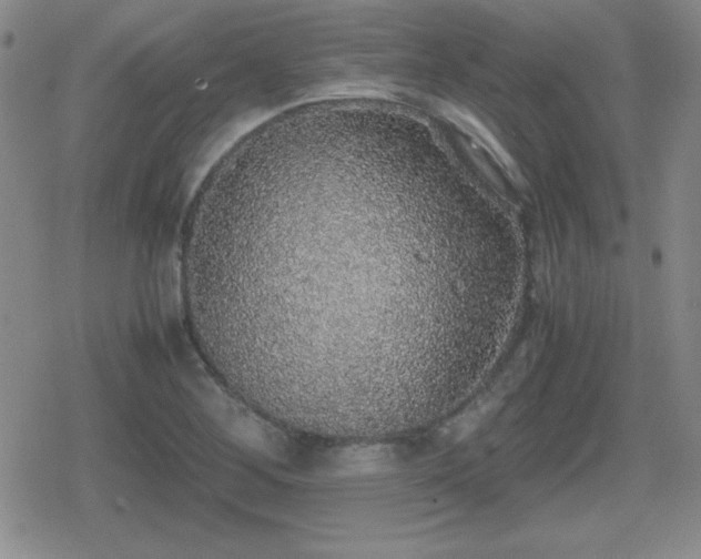 X0000080731268200612151215