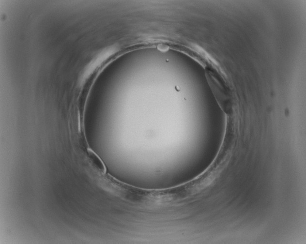 X0000080731269200612151215