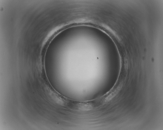 X0000080731270200612151215