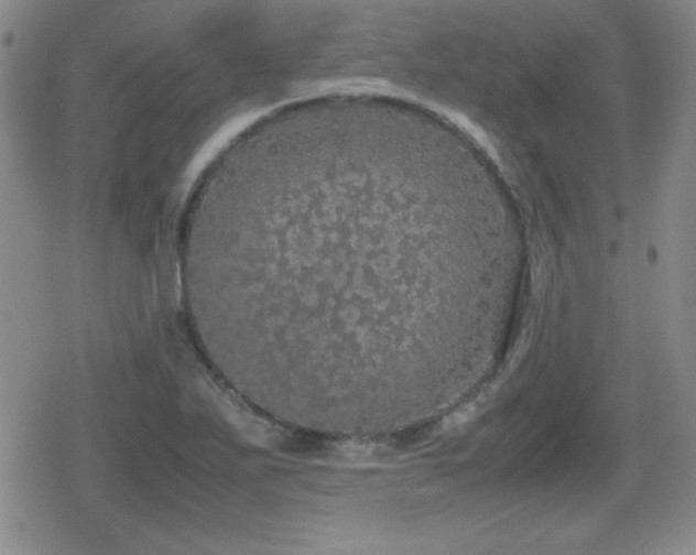 X0000080731271200612151215