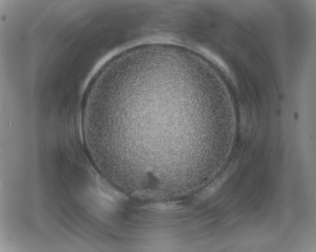 X0000080731272200612151215