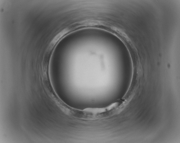 X0000080731273200612151215