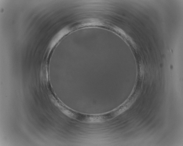 X0000080731274200612151215