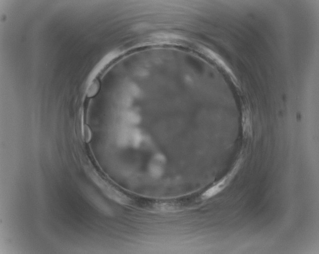 X0000080731275200612151215