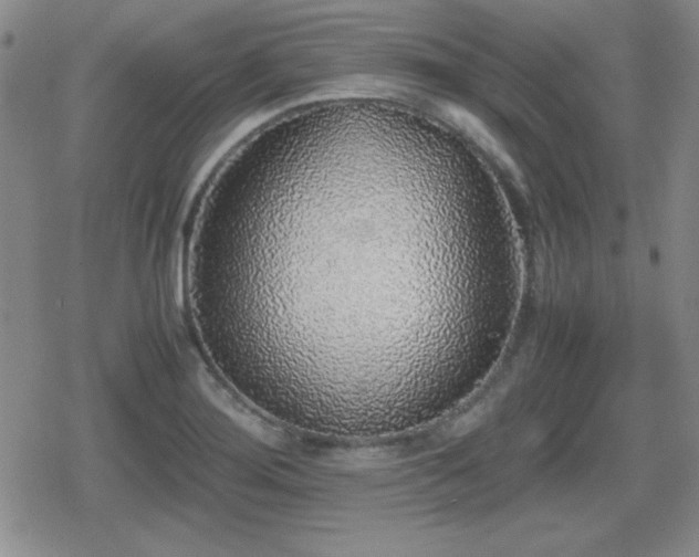 X0000080731276200612151215