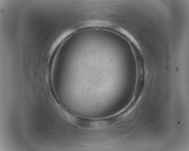 X0000080731277200612151215