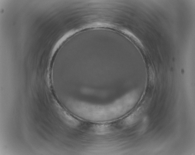 X0000080731278200612151215