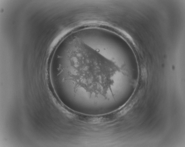 X0000080731279200612151215