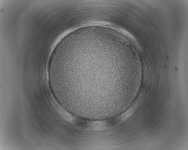 X0000080731280200612151215