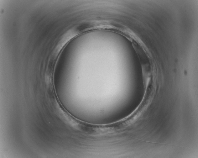 X0000080731281200612151215