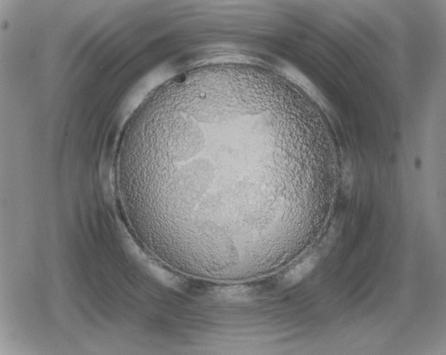 X0000080731282200612151215