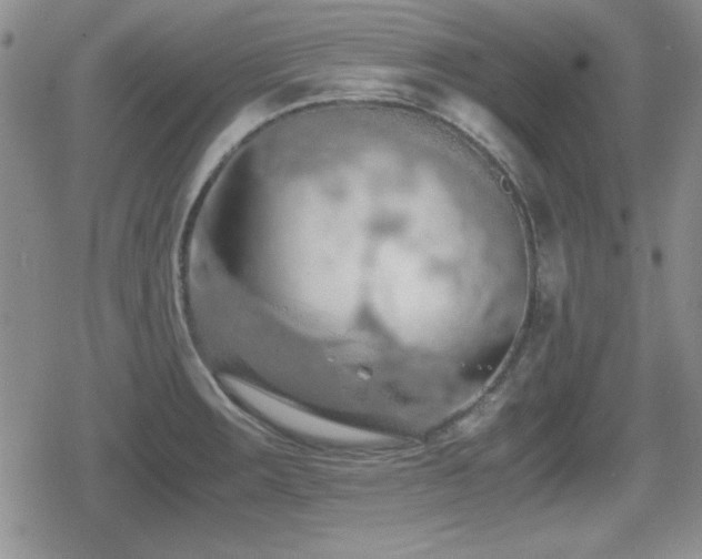 X0000080731283200612151215