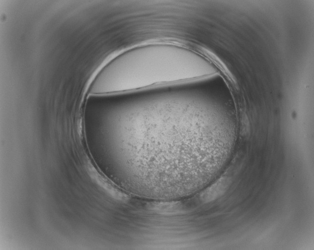 X0000080731284200612151215