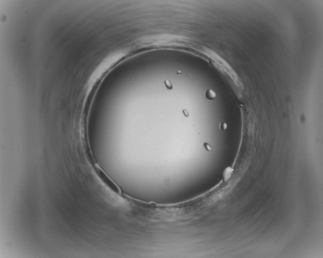 X0000080731285200612151215