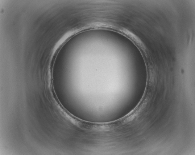 X0000080731286200612151215