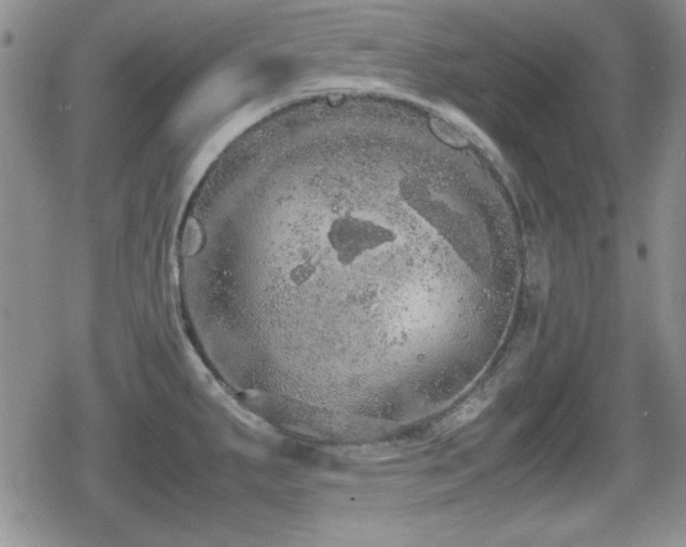 X0000080731287200612151215