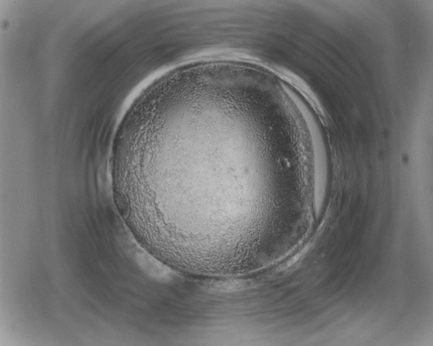 X0000080731288200612151215