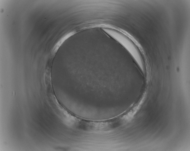 X0000080731289200612151215