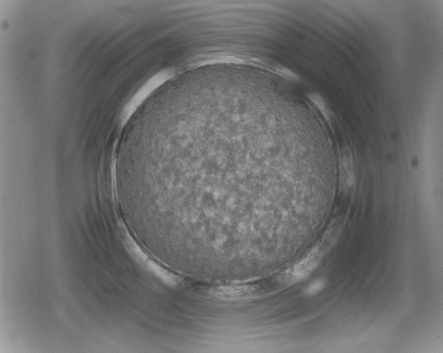 X0000080731290200612151215