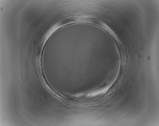 X0000080731291200612151215