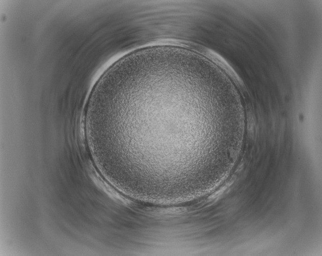 X0000080731292200612151214