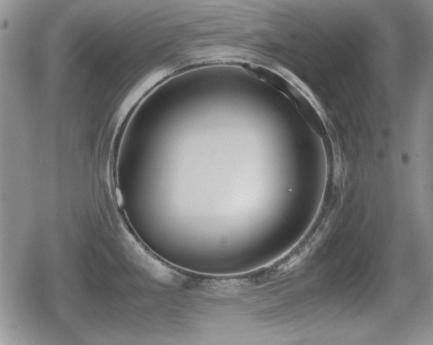 X0000080731293200612151214