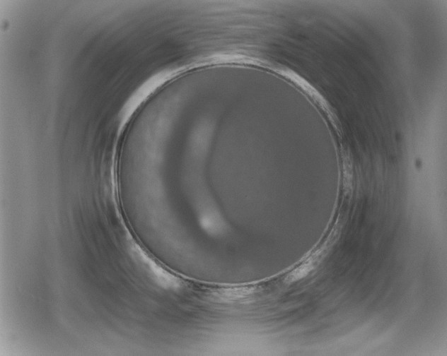 X0000080731294200612151214