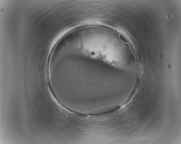 X0000080731295200612151214