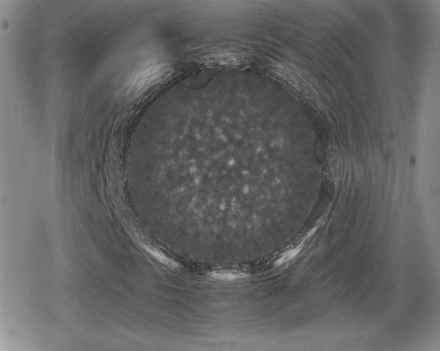 X0000080731297200612151214