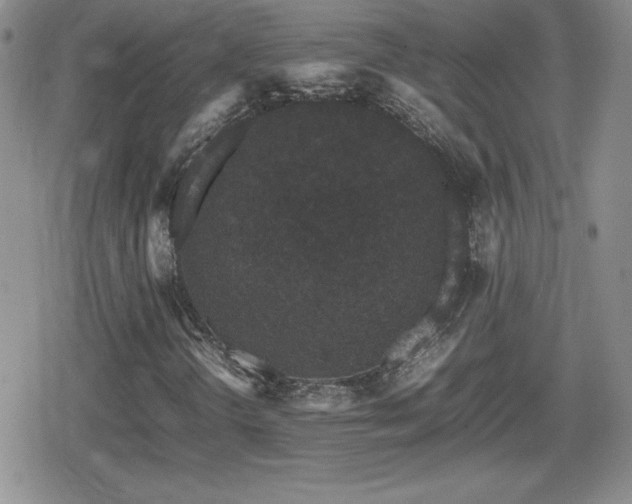 X0000080731298200612151214