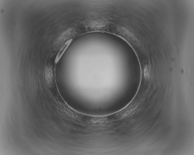 X0000080731299200612151214