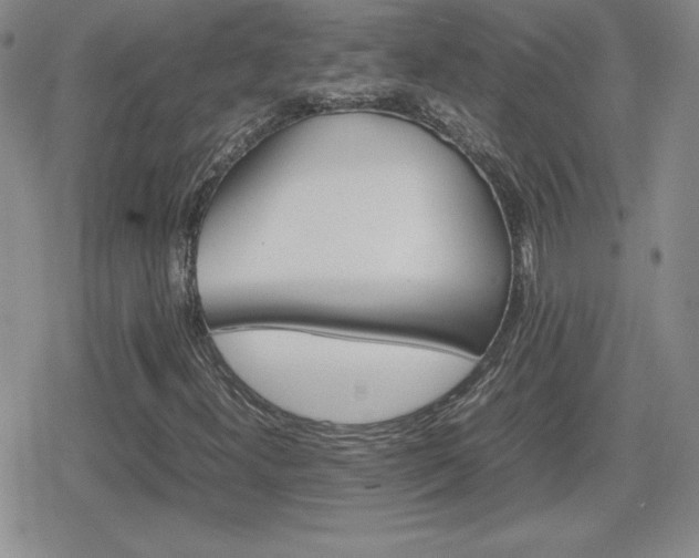 X0000080731300200612151214