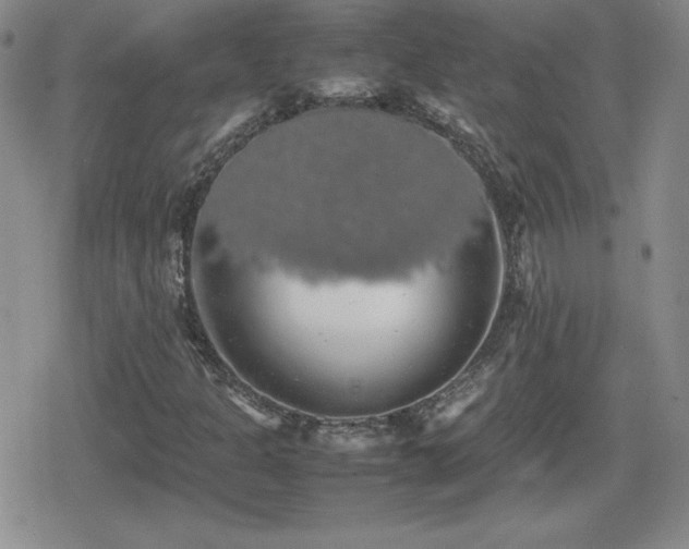 X0000080731301200612151214